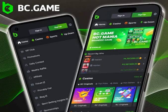 Experience the Thrill of Gaming at Online Casino BC GAME